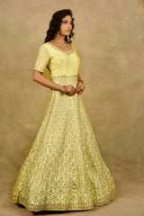 YELLOW MELLOW BLOSSOM