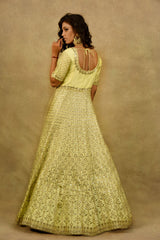 YELLOW MELLOW BLOSSOM