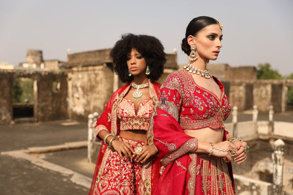 Ethnic Crop Tops with Skirts vs. Traditional Cholis